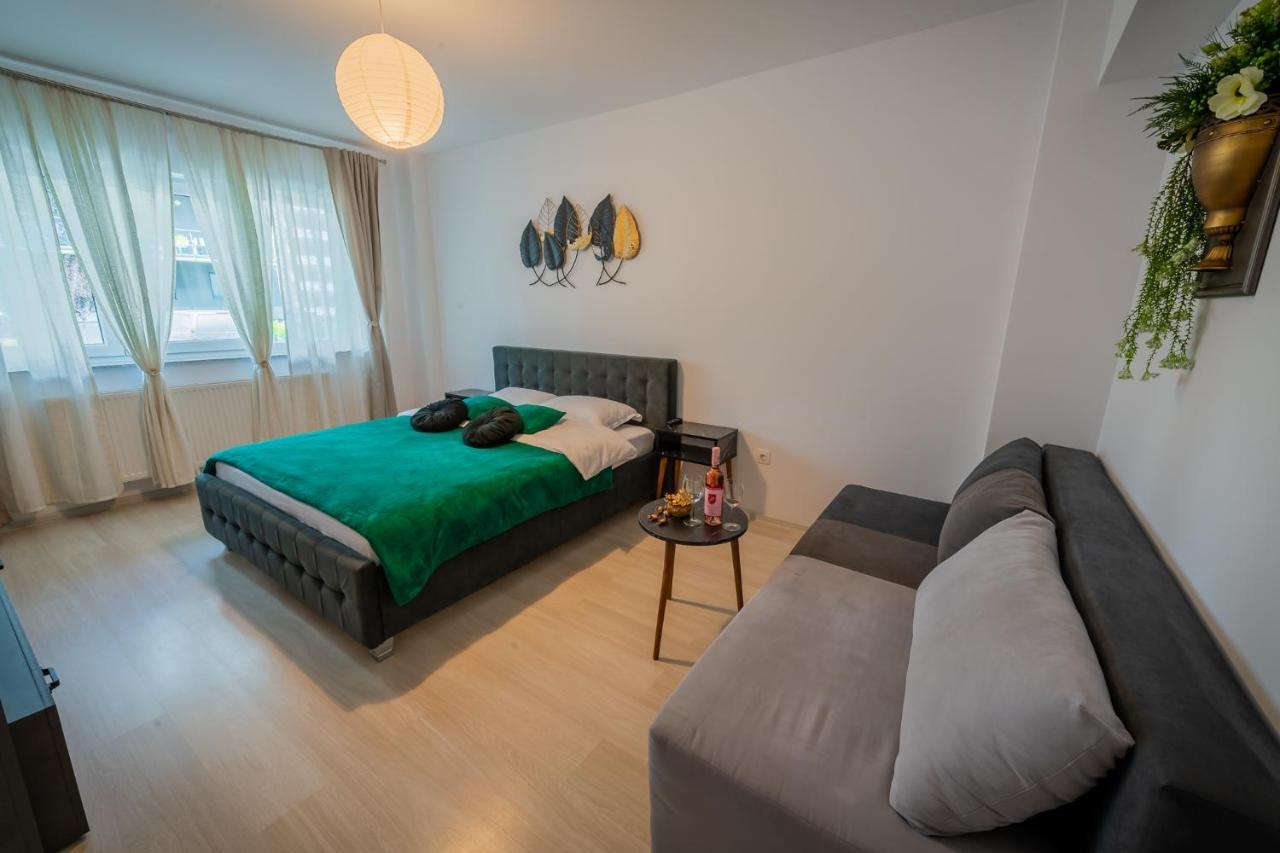 Coresi Vibe Studio Braşov Exteriör bild
