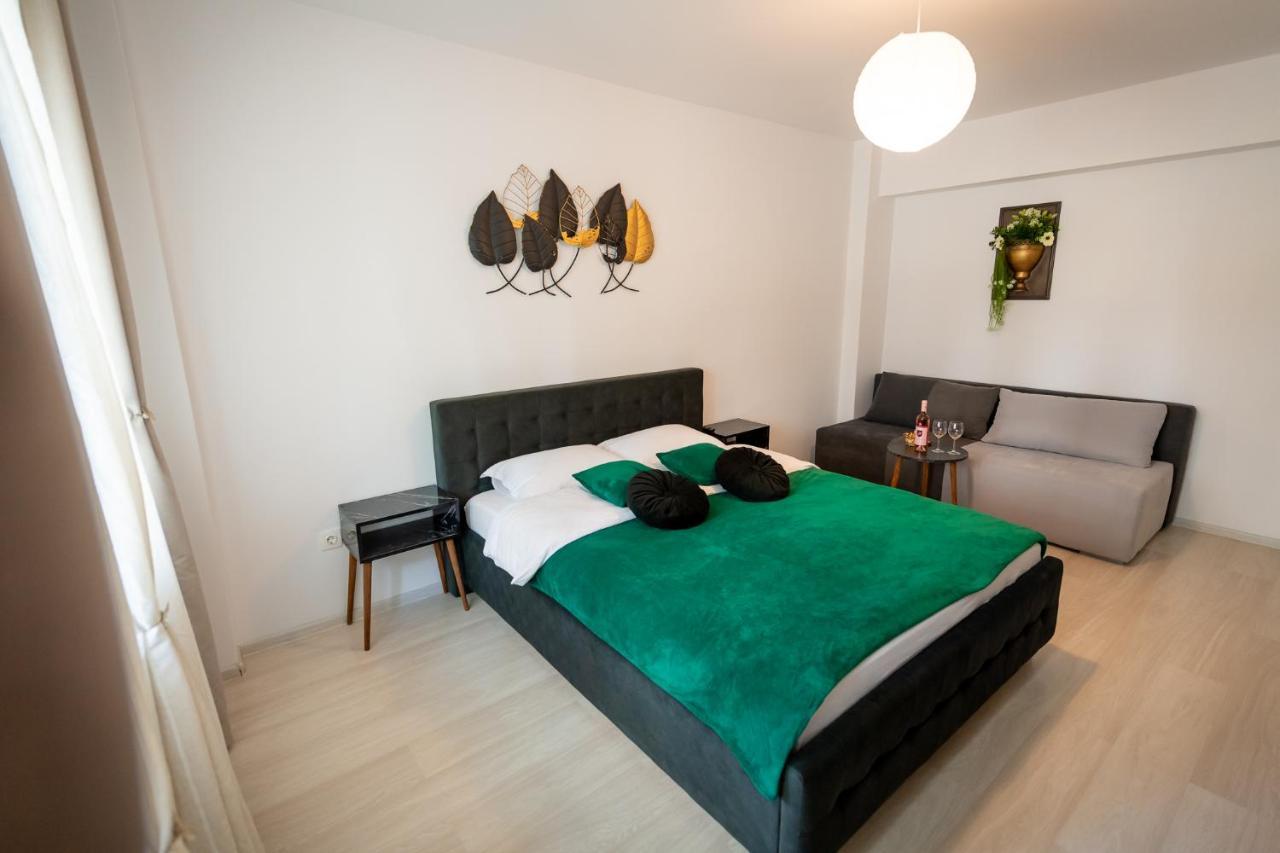 Coresi Vibe Studio Braşov Exteriör bild