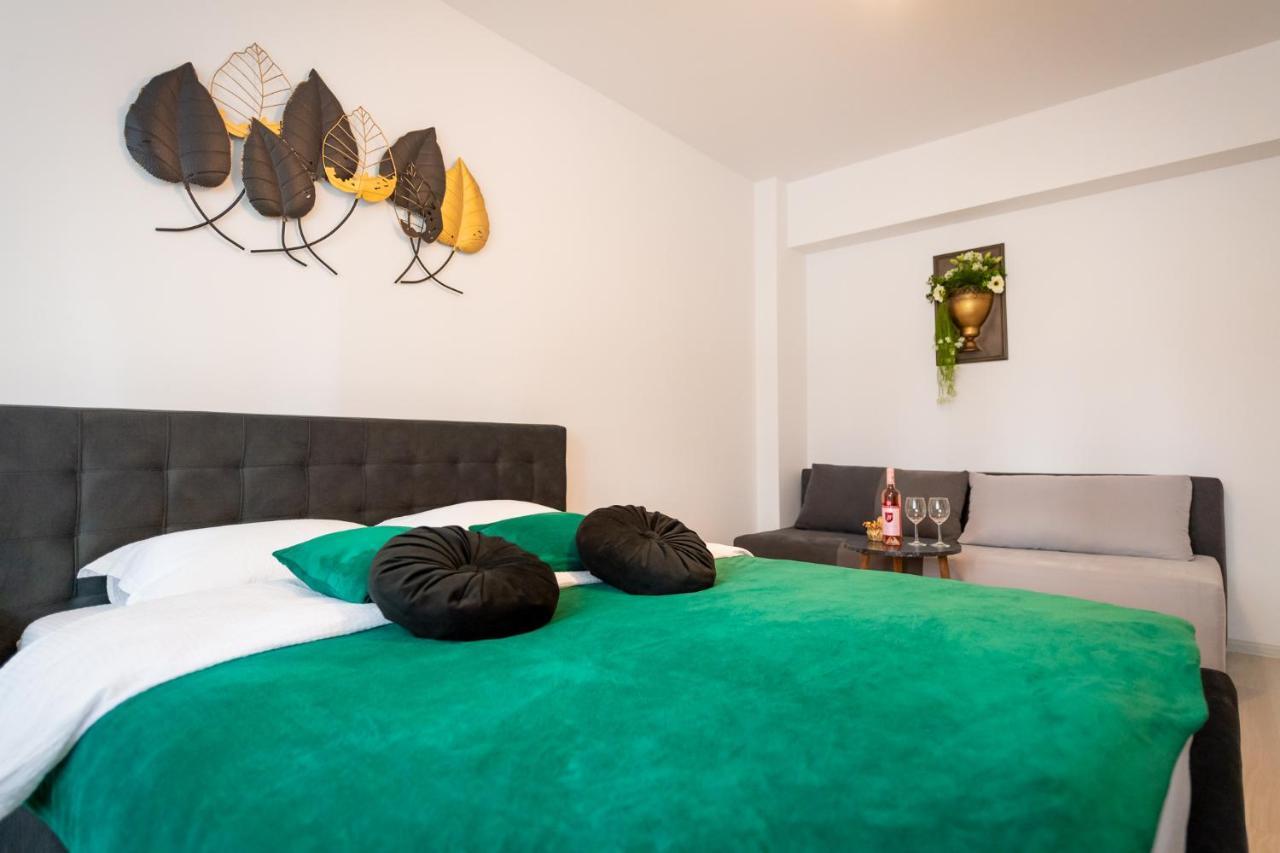 Coresi Vibe Studio Braşov Exteriör bild