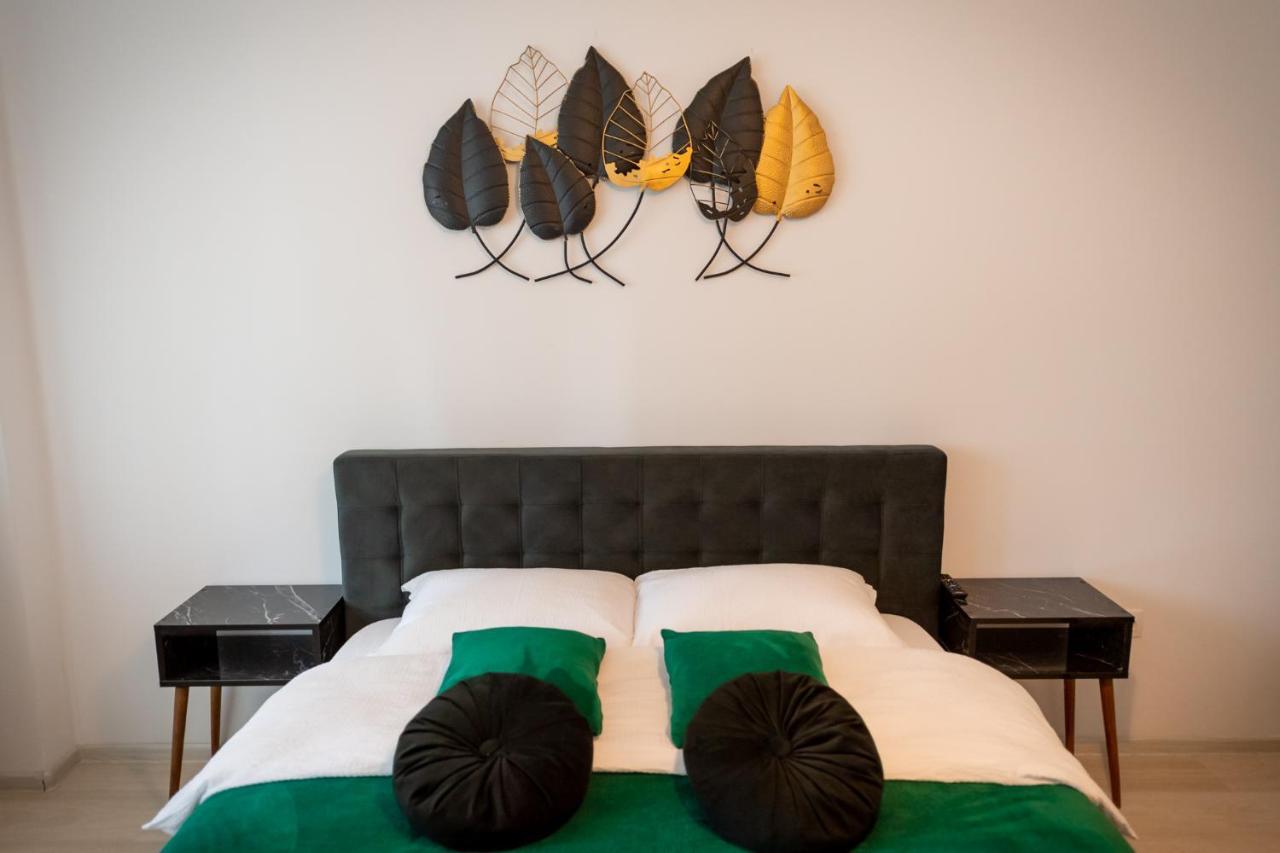 Coresi Vibe Studio Braşov Exteriör bild