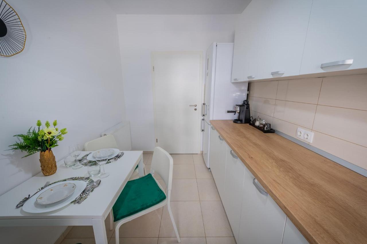 Coresi Vibe Studio Braşov Exteriör bild