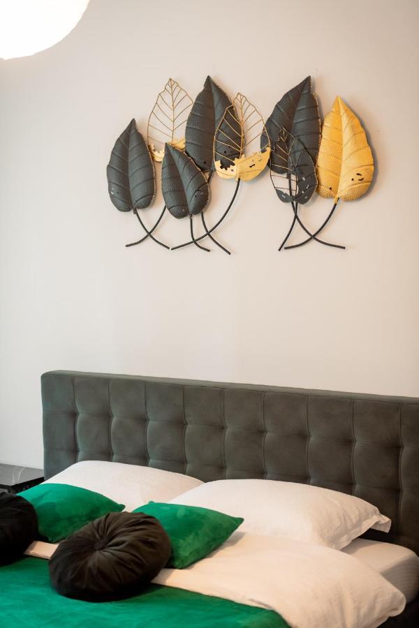Coresi Vibe Studio Braşov Exteriör bild