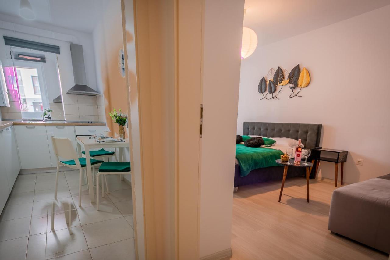 Coresi Vibe Studio Braşov Exteriör bild