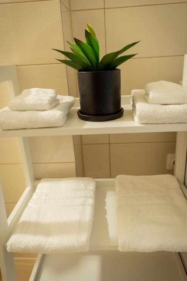 Coresi Vibe Studio Braşov Exteriör bild