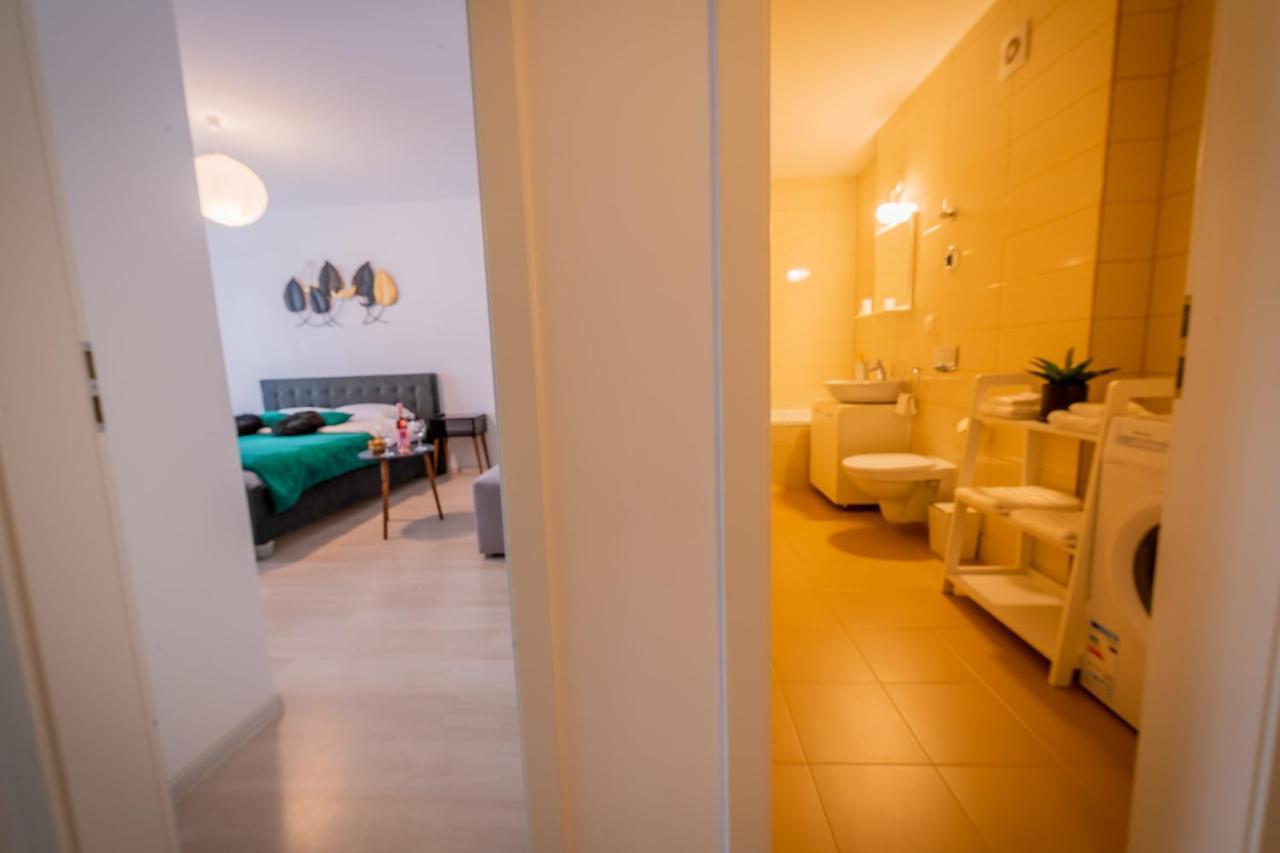 Coresi Vibe Studio Braşov Exteriör bild