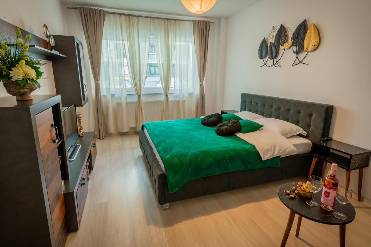 Coresi Vibe Studio Braşov Exteriör bild
