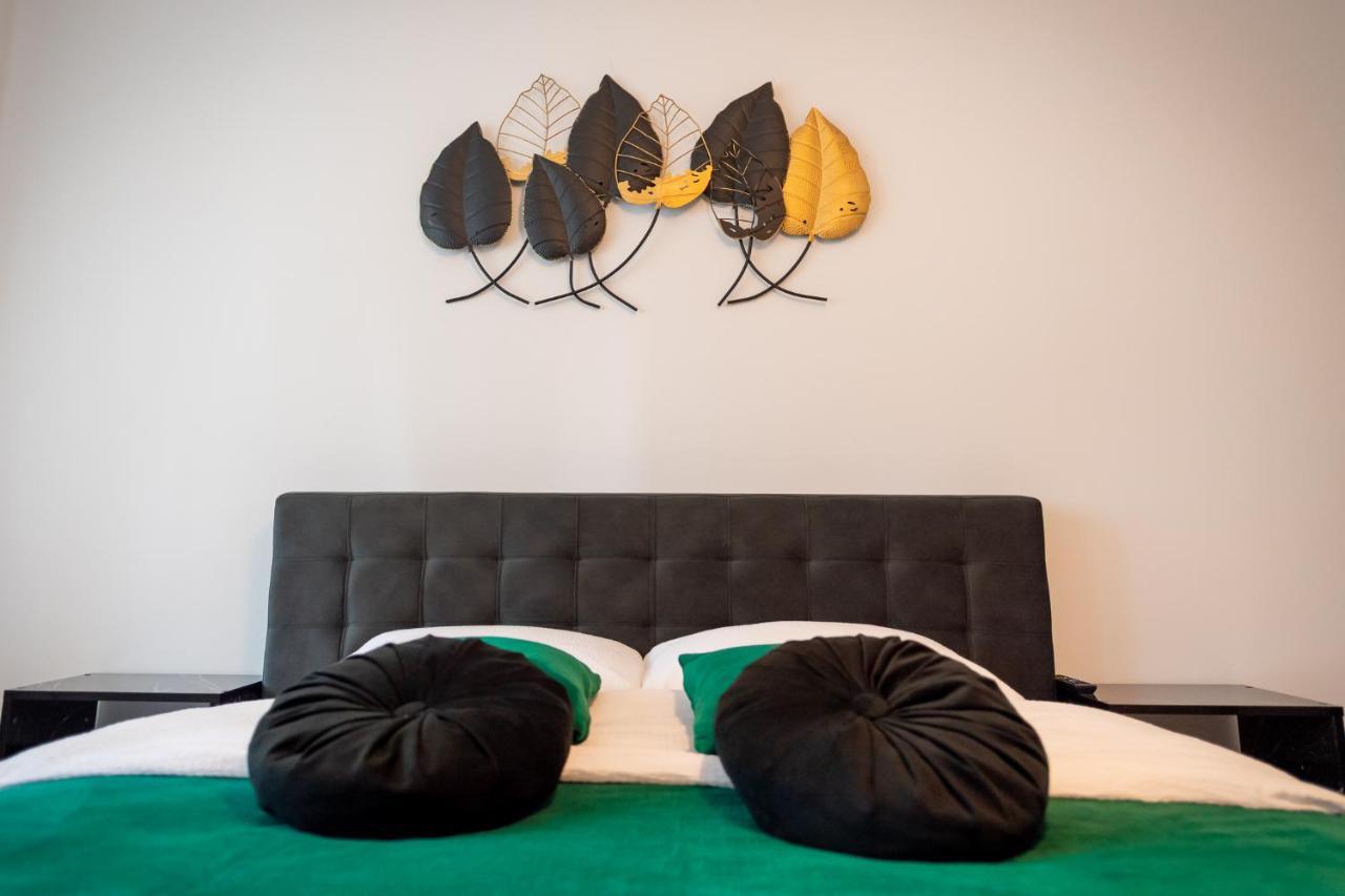 Coresi Vibe Studio Braşov Exteriör bild