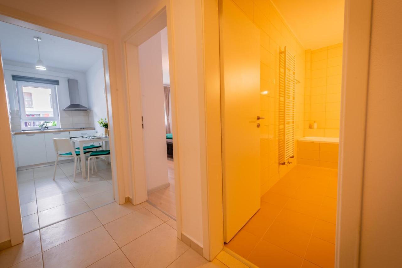 Coresi Vibe Studio Braşov Exteriör bild