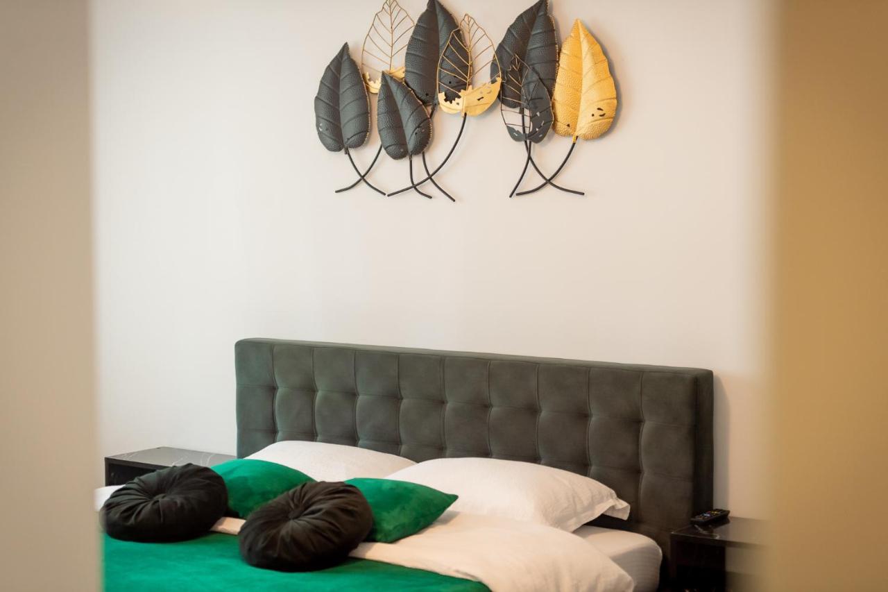 Coresi Vibe Studio Braşov Exteriör bild